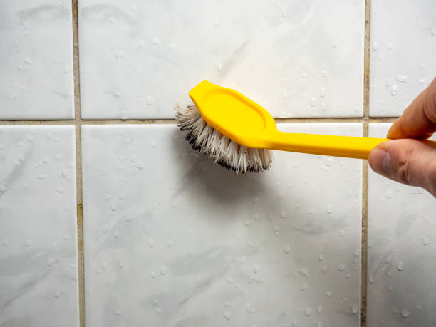 Best Mold Remediation  in Belmont, NC