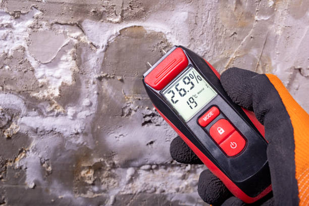 Best Residential Mold Removal  in Belmont, NC