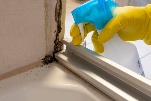 Crawl Space Mold Removal in Belmont, NC