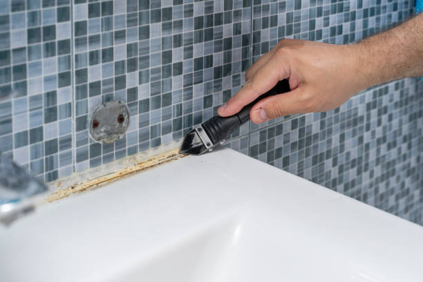 Best Certified Mold Removal  in Belmont, NC